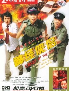 神经侠侣海报