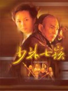 西螺七崁海报
