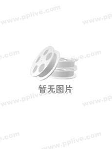 最后的愿望海报